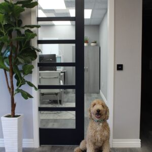 WAAY™ Automatic Pocket Door 6'8"