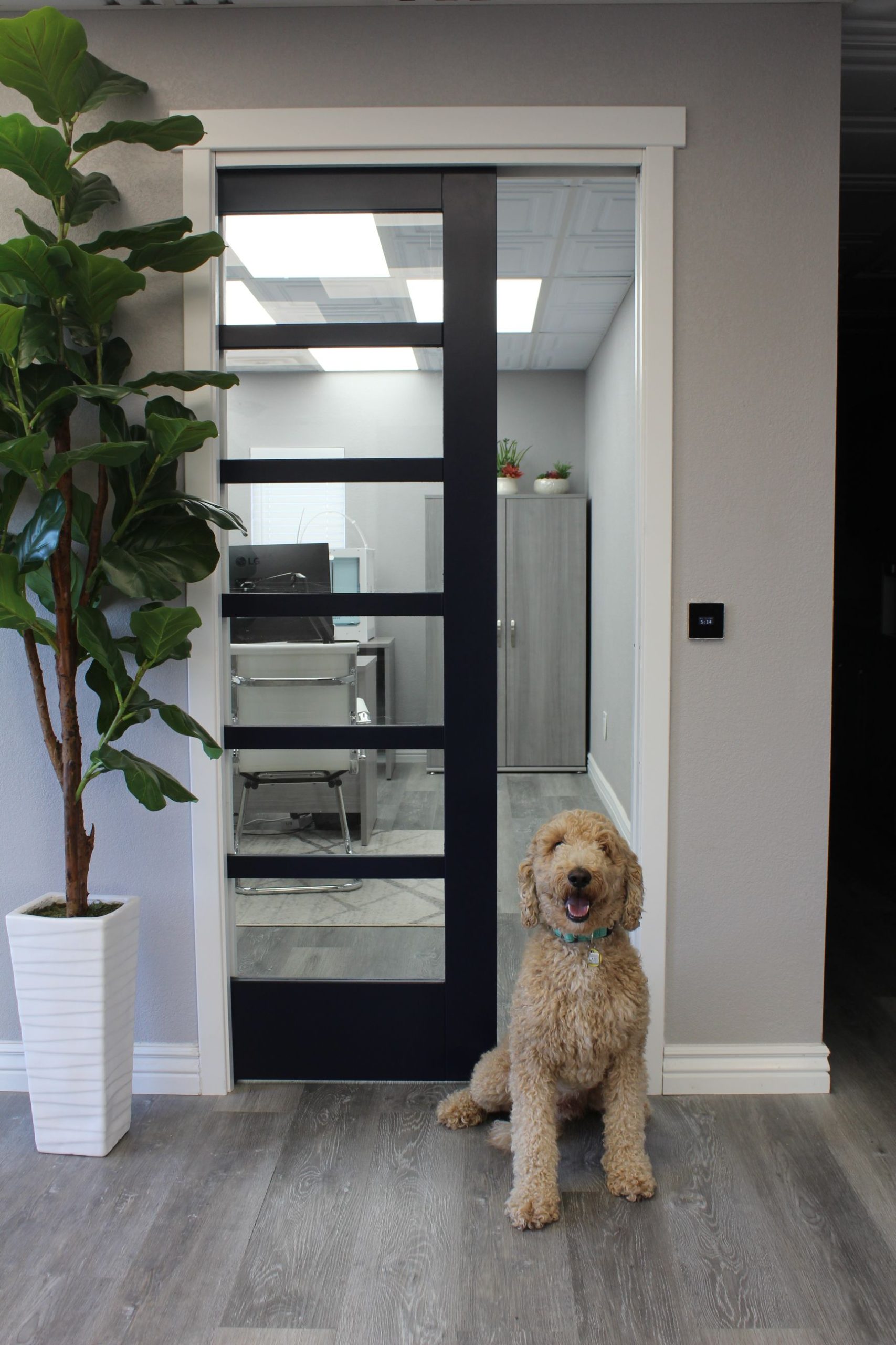 WAAY™ Automatic Pocket Door 8' - Image 2